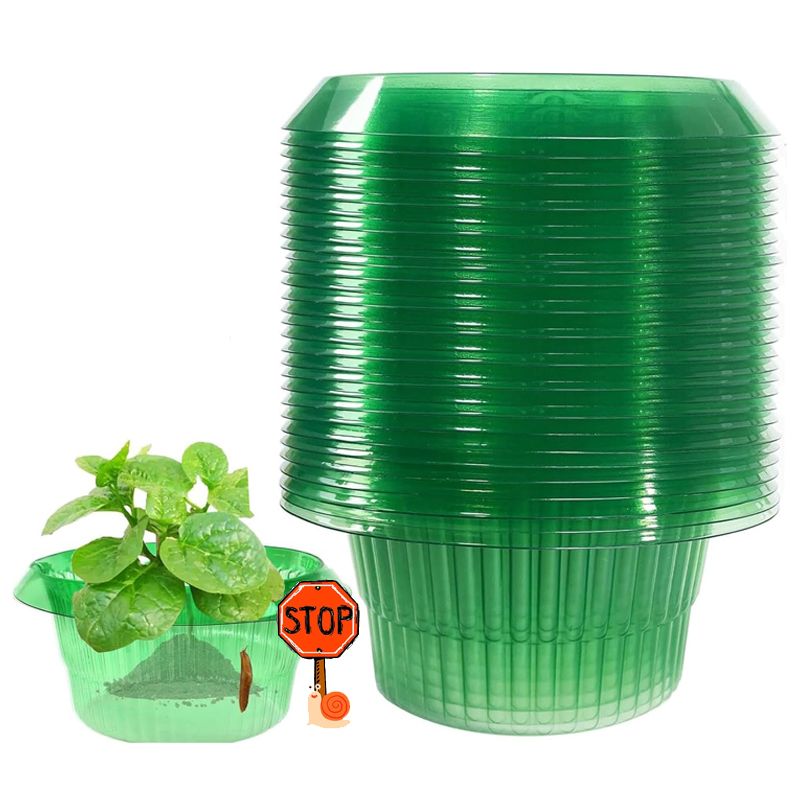 5-25Pcs Plants Slug Protection - đánh giá và giá Vegetable Transplanter