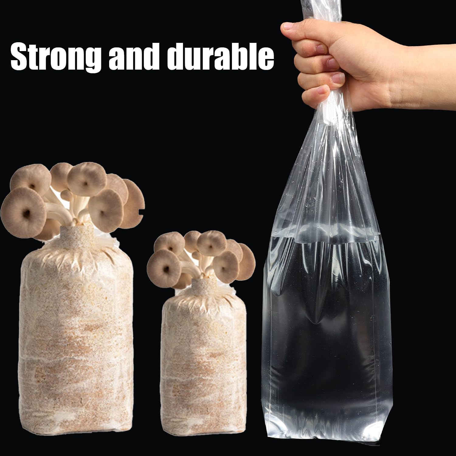 5/10Pcs Polypropylene Mushroom - đánh giá và giá Mushroom Spawn Bag