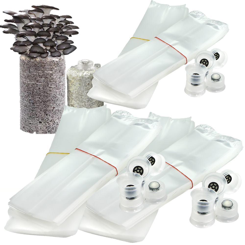 50/100PCS Mushroom Spawn Grow  - đánh giá và giá Mushroom Spawn Bag