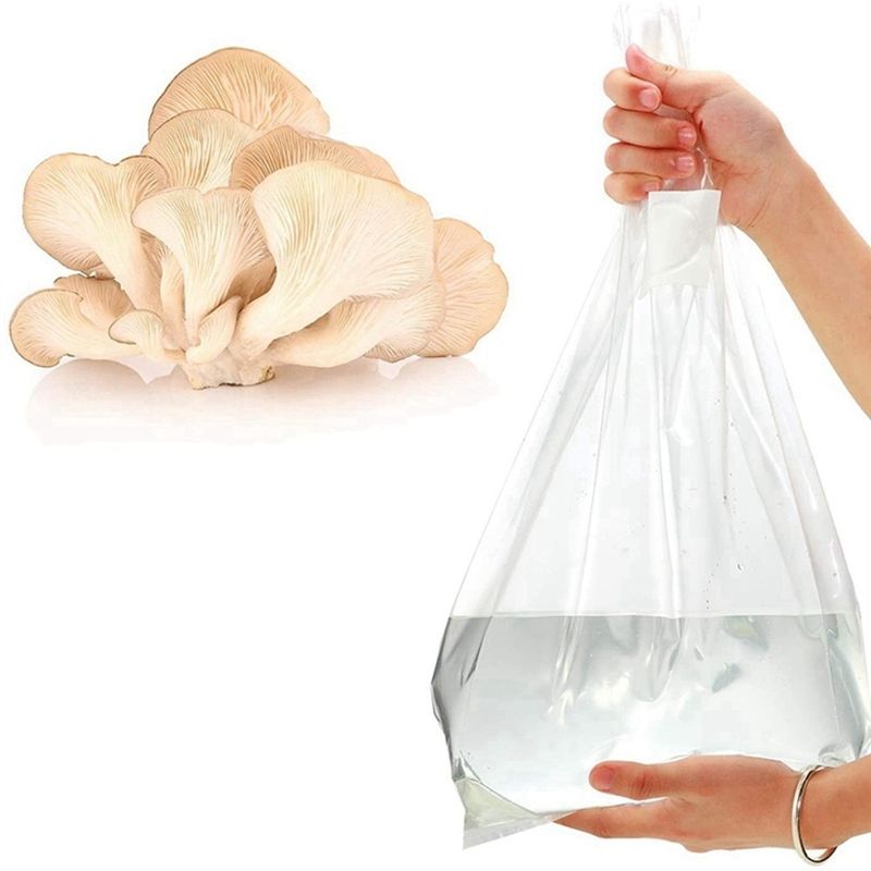 PZHI-100Pcs Mushroom Growing B - đánh giá và giá Mushroom Spawn Bag