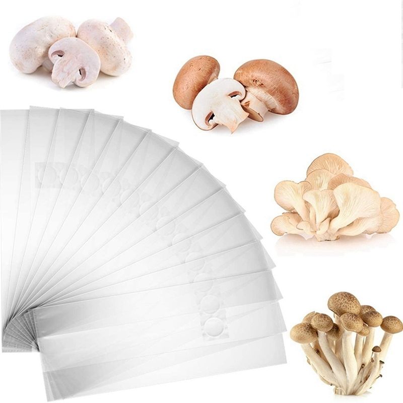 PZHI-100Pcs Mushroom Growing B - đánh giá và giá Mushroom Spawn Bag
